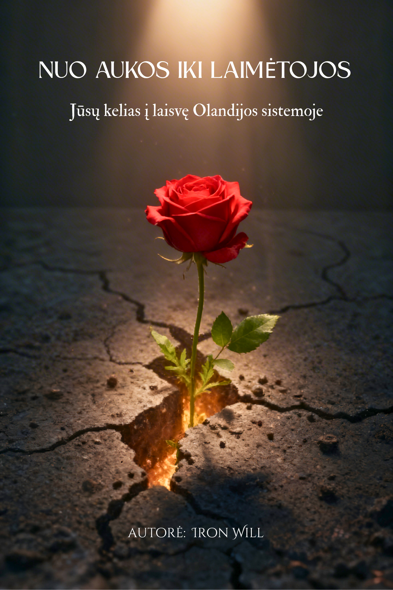 Book ''Nuo aukos iki laimėtojos''
