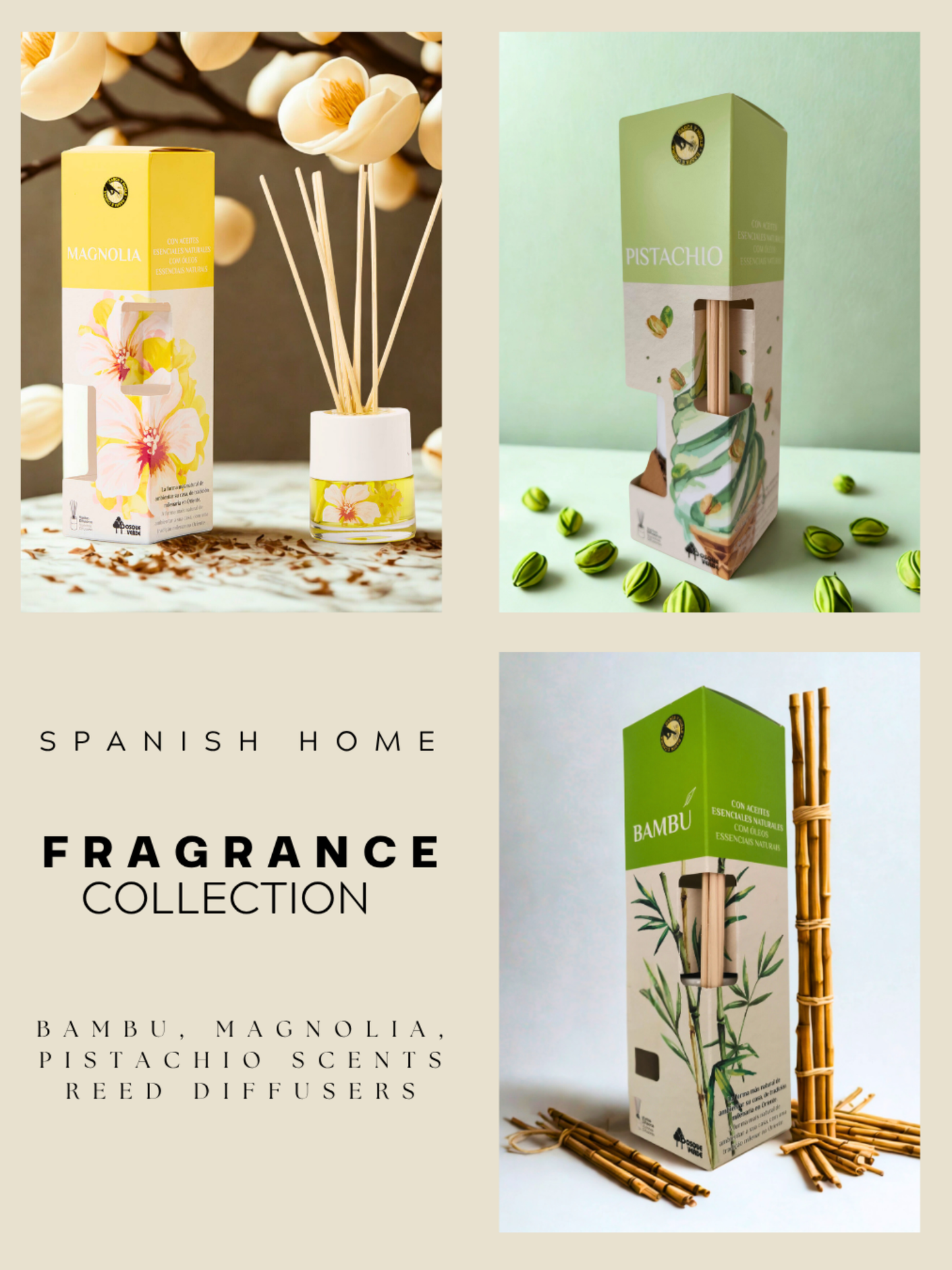 Bamboo, Pistachio, Magnolia / Home Spanish Perfume set / 3 Reed Diffusers