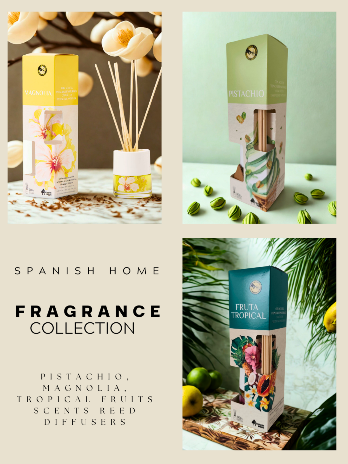 Magnolia, Pistachio, Tropical fruits / Home Spanish Perfume set / 3 Reed Diffusers