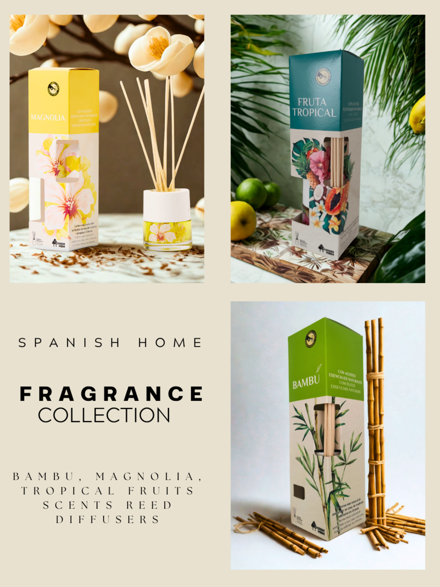 Bamboo, Magnolia, Tropical fruits / Home Spanish Perfumes set / 3 Reed diffusers
