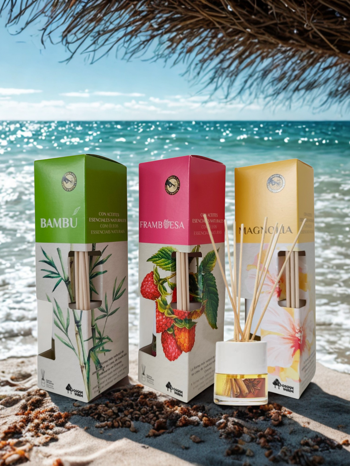 Magnolia, Raspberry, Bamboo / Home Spanish Perfume set / 3 Reed Diffusers