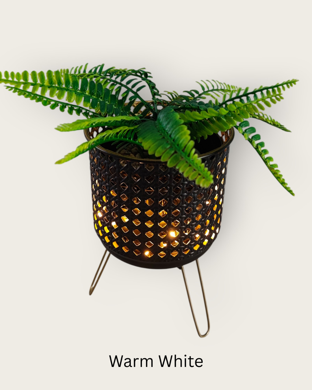 Luminous Glow Plant Pot - Battery Powered LED Planter