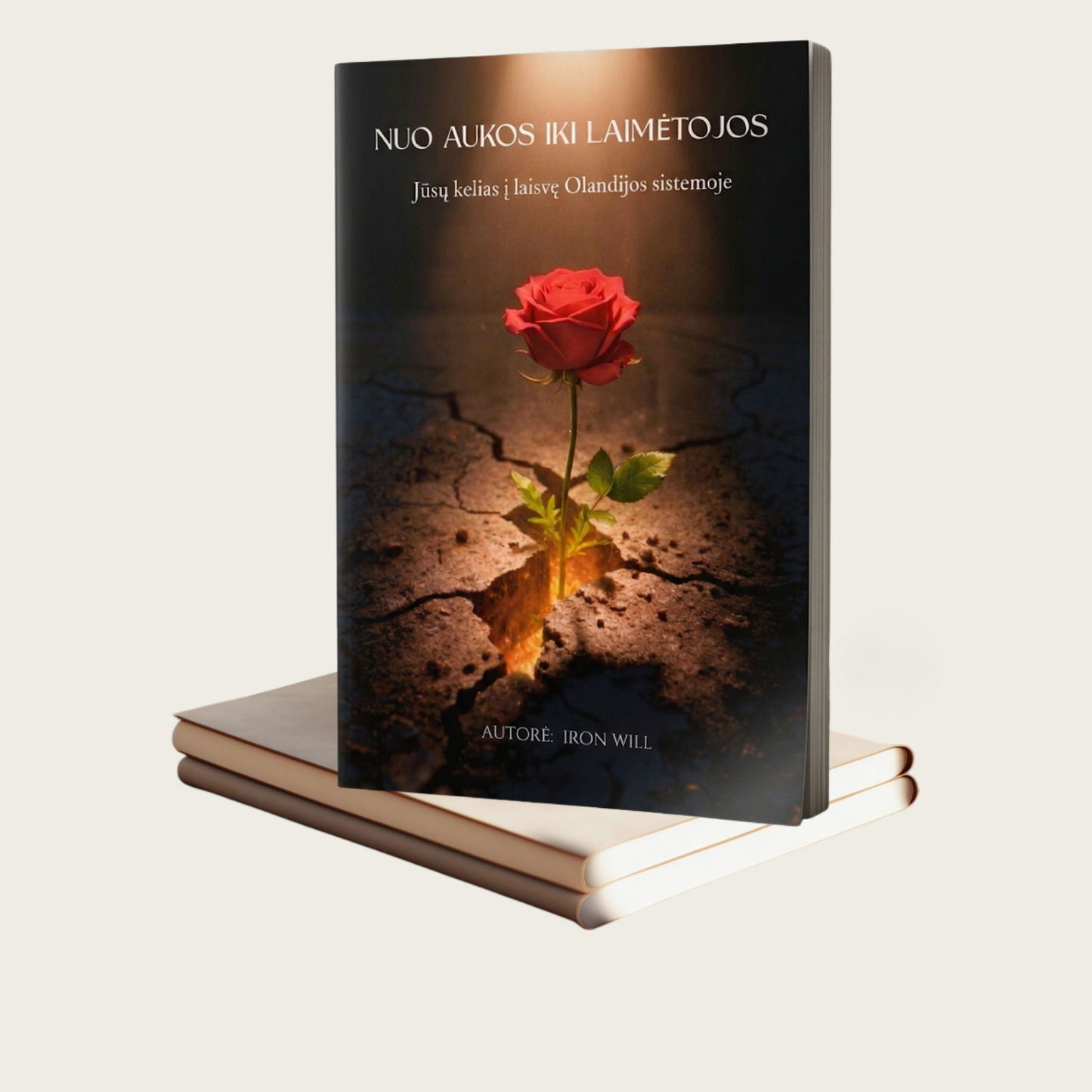 Book ''Nuo aukos iki laimėtojos''