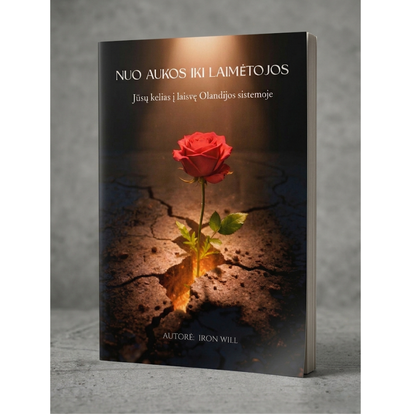 Book ''Nuo aukos iki laimėtojos''