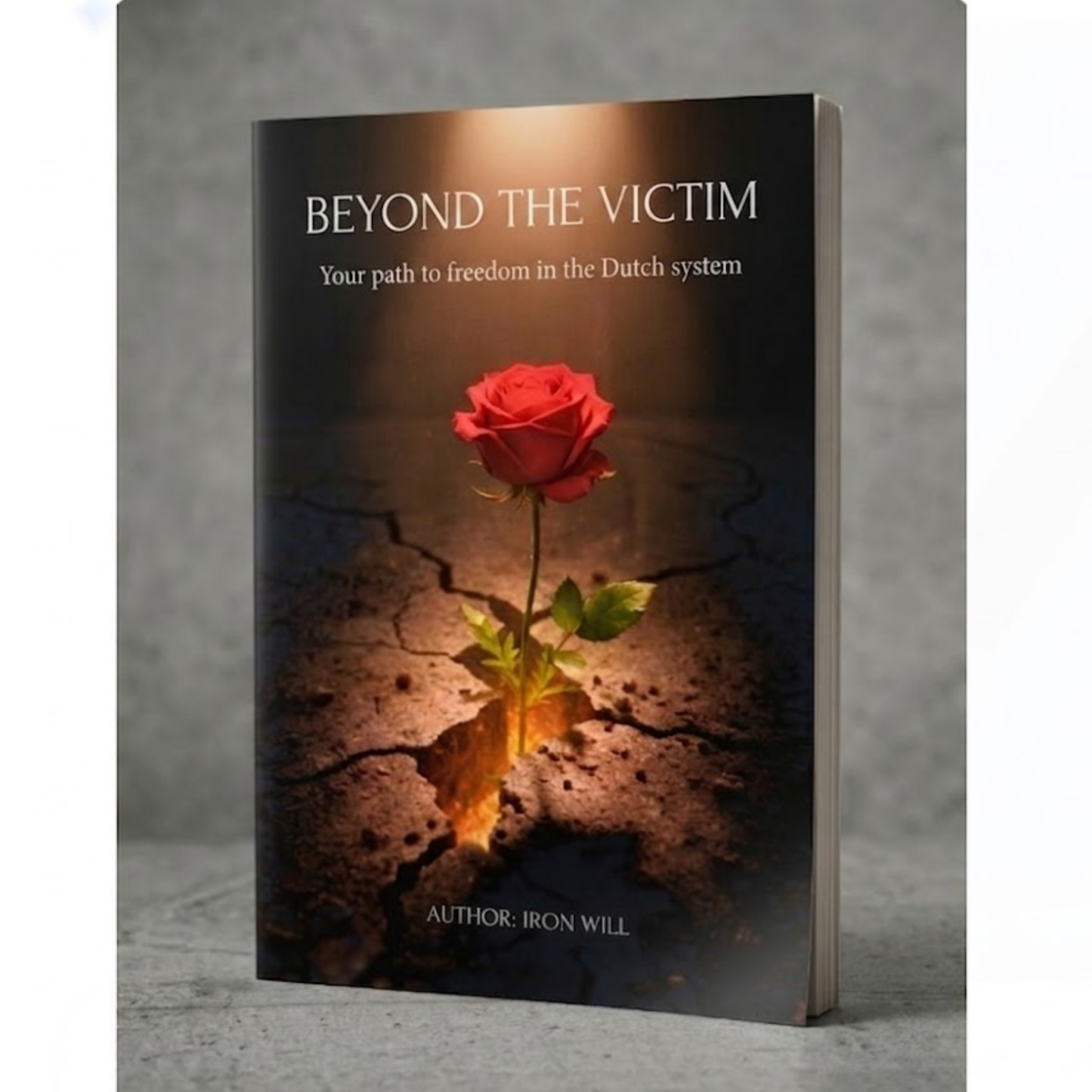Book ''Beyond the victim''